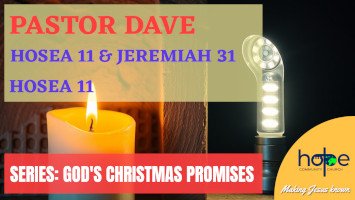 Sunday 22 December 2024 | Pastor Dave | Hosea 11